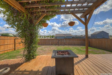 2459 Pechora Pipit New Braunfels TX 78130