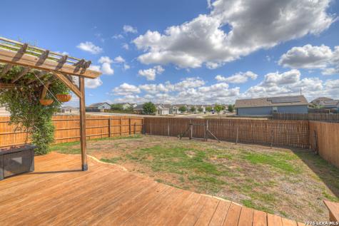 2459 Pechora Pipit New Braunfels TX 78130