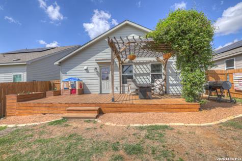 2459 Pechora Pipit New Braunfels TX 78130