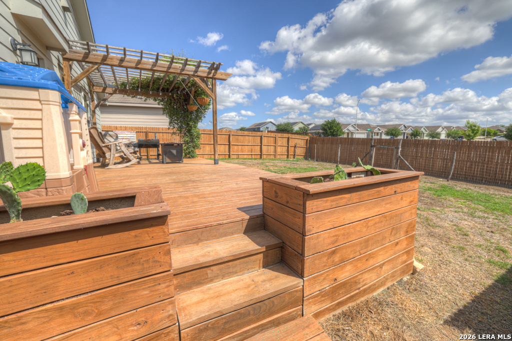 2459 Pechora Pipit New Braunfels TX 78130