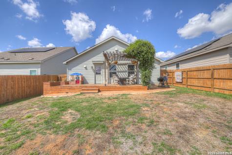 2459 Pechora Pipit New Braunfels TX 78130