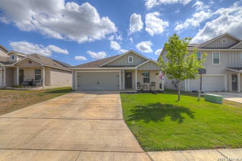 2459 Pechora Pipit New Braunfels TX 78130