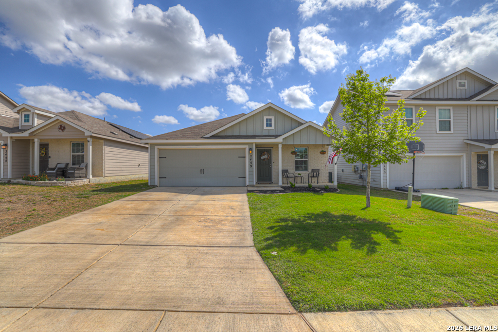 2459 Pechora Pipit New Braunfels TX 78130