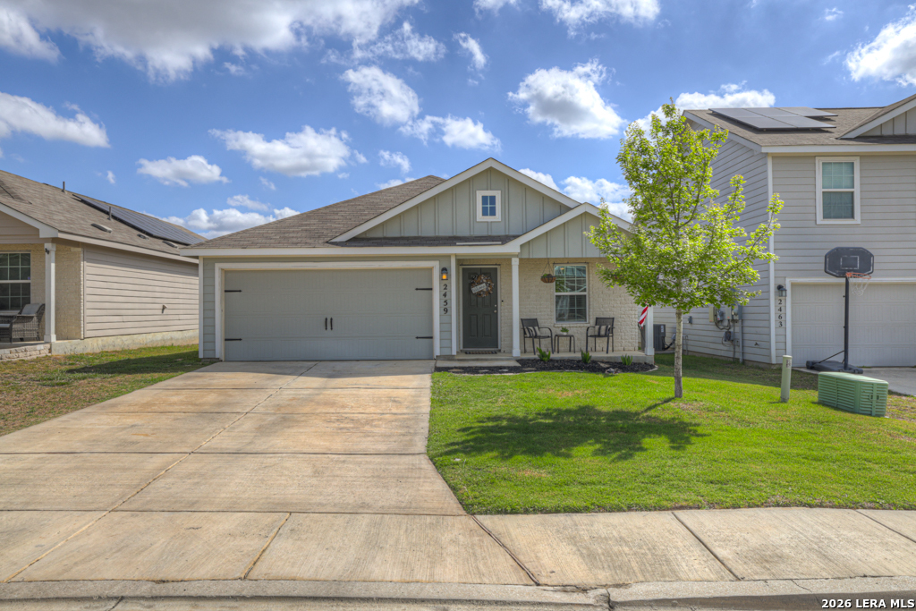 2459 Pechora Pipit New Braunfels TX 78130