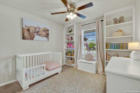 2459 Pechora Pipit New Braunfels TX 78130