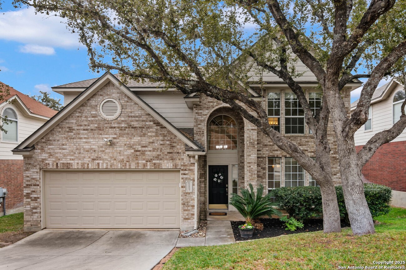17223 Sonoma Springs San Antonio TX 78232