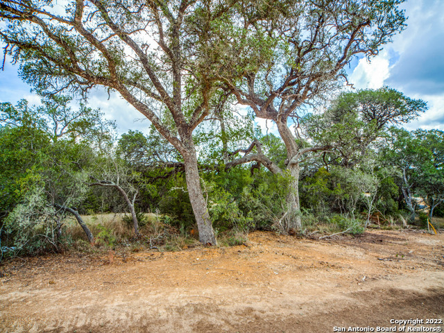 708 Sharp Springs Bulverde TX 78163