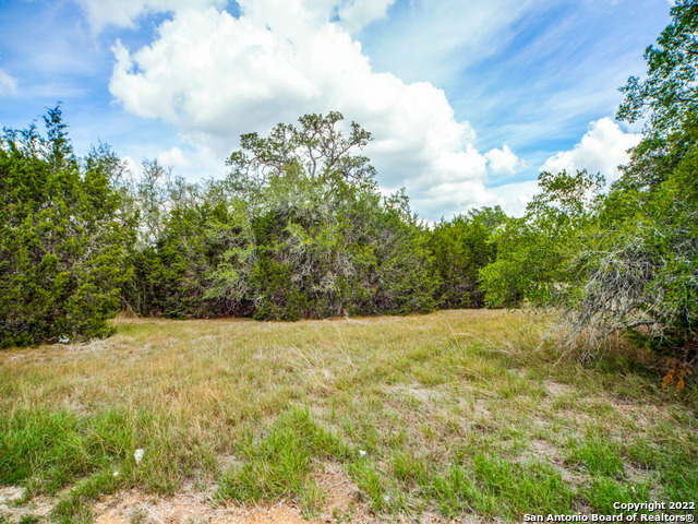 708 Sharp Springs Bulverde TX 78163