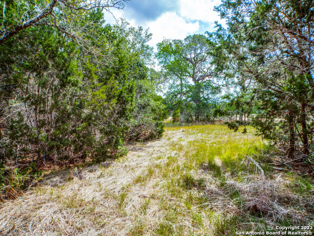 708 Sharp Springs Bulverde TX 78163