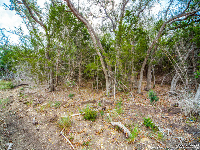 708 Sharp Springs Bulverde TX 78163