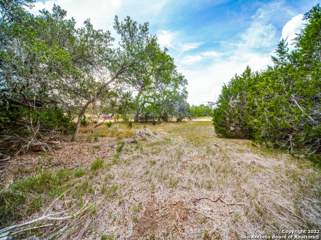 708 Sharp Springs Bulverde TX 78163