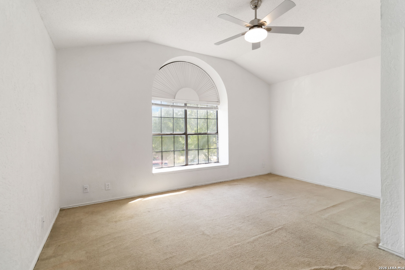 2949 Ash Field Drive San Antonio TX 78245