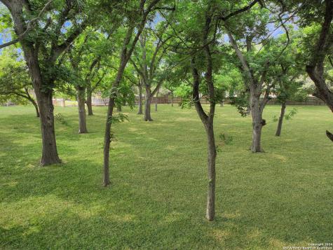 127 Milagros Seguin TX 78155