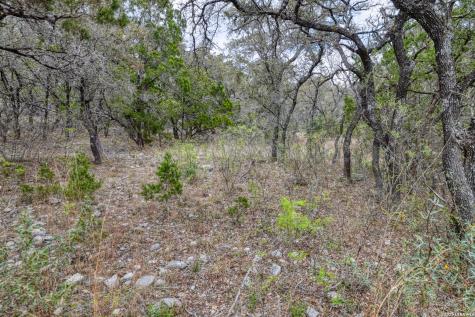 430 Frio Canyon Concan TX 78838