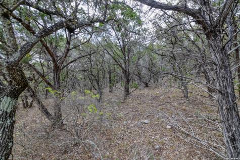 430 Frio Canyon Concan TX 78838