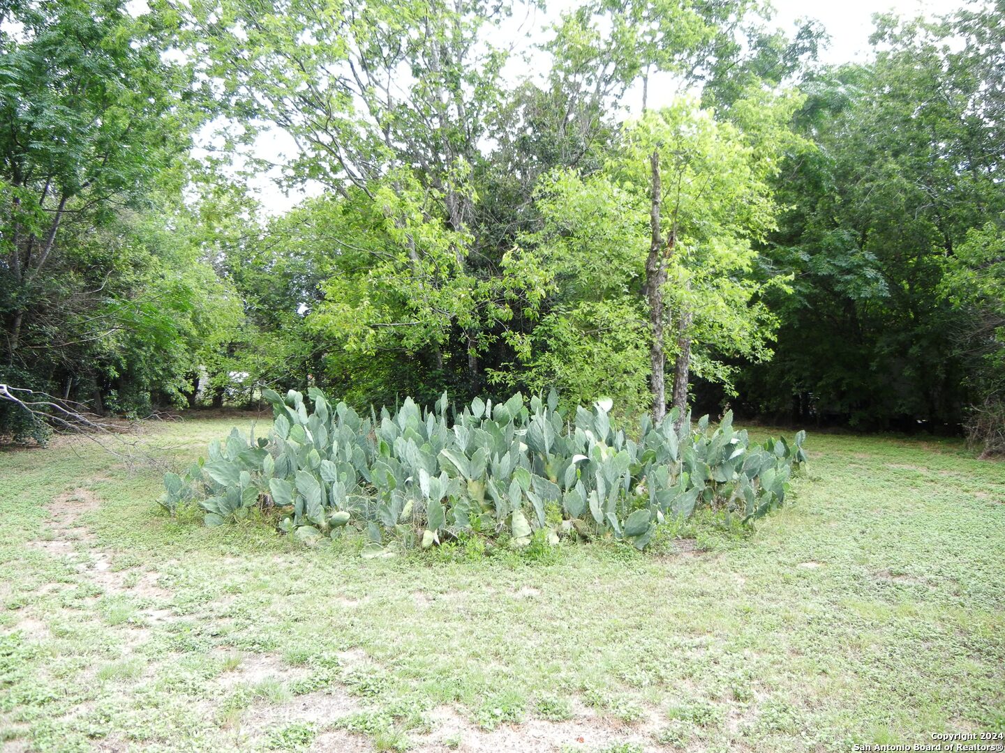 1845 Saltillo Street San Antonio TX 78207