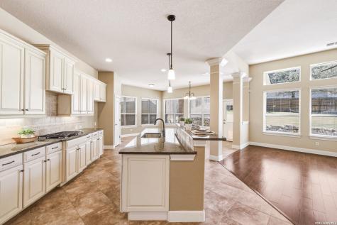 1002 Gazania Hill San Antonio TX 78260
