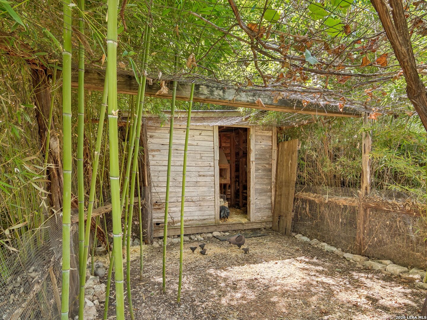 351 E North Street New Braunfels TX 78130
