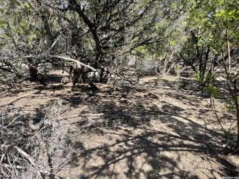 Lot 161 Bluff View Circle Bandera TX 78003