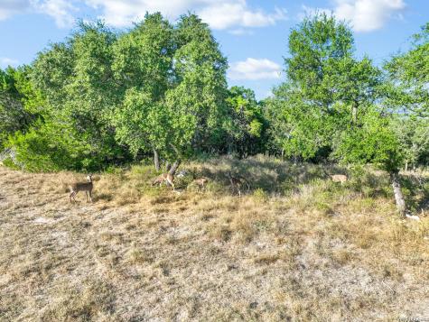 1603 Canyon Bend Canyon Lake TX 78133