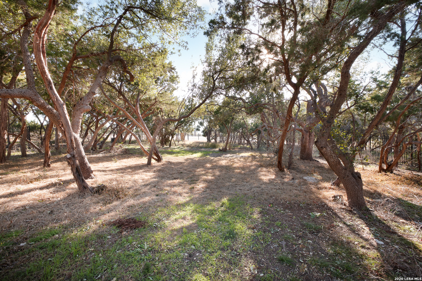 27623 San Portola San Antonio TX 78260
