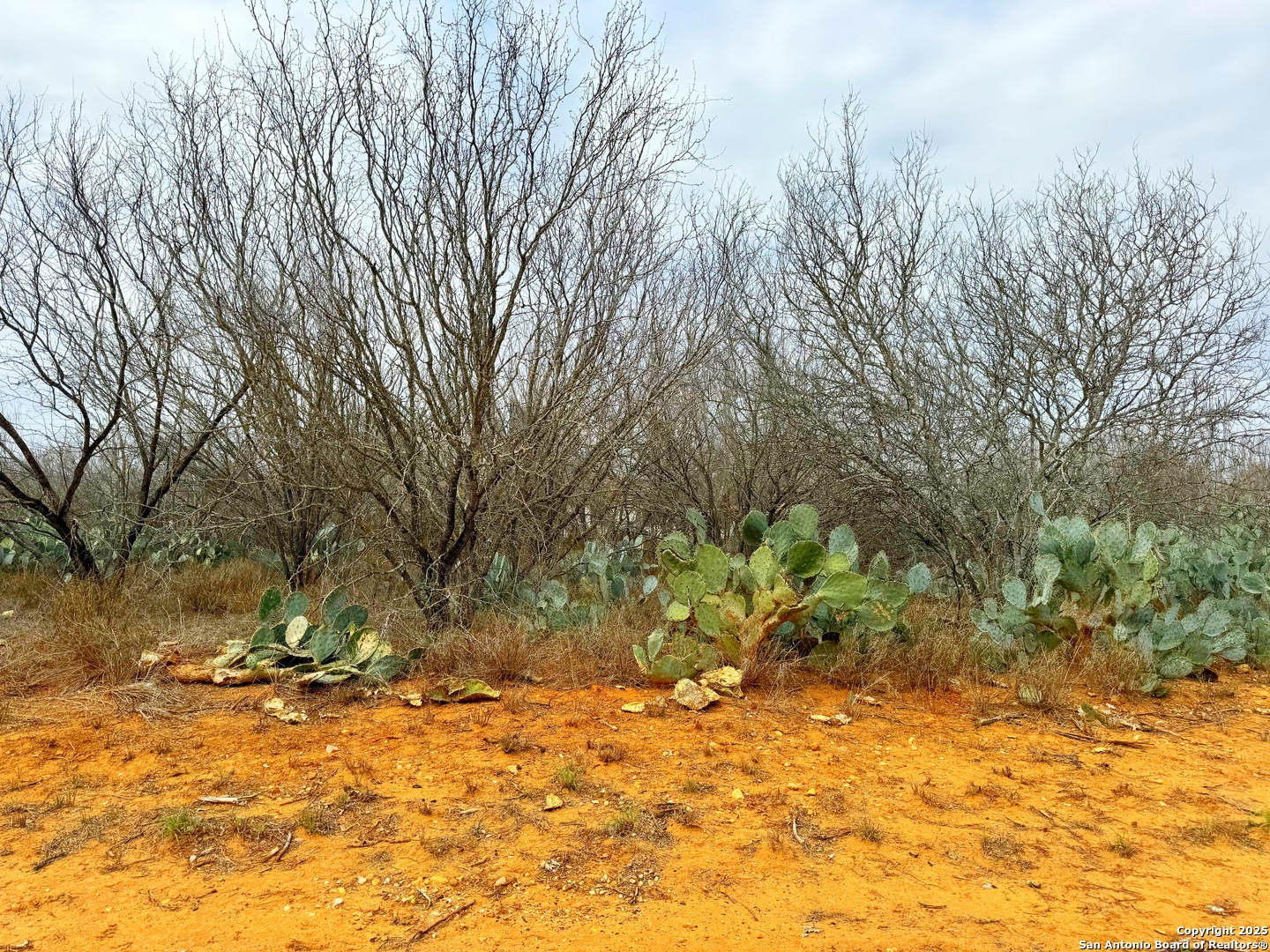 Tbd Old Highway 81 Lot 4 Moore TX 78057