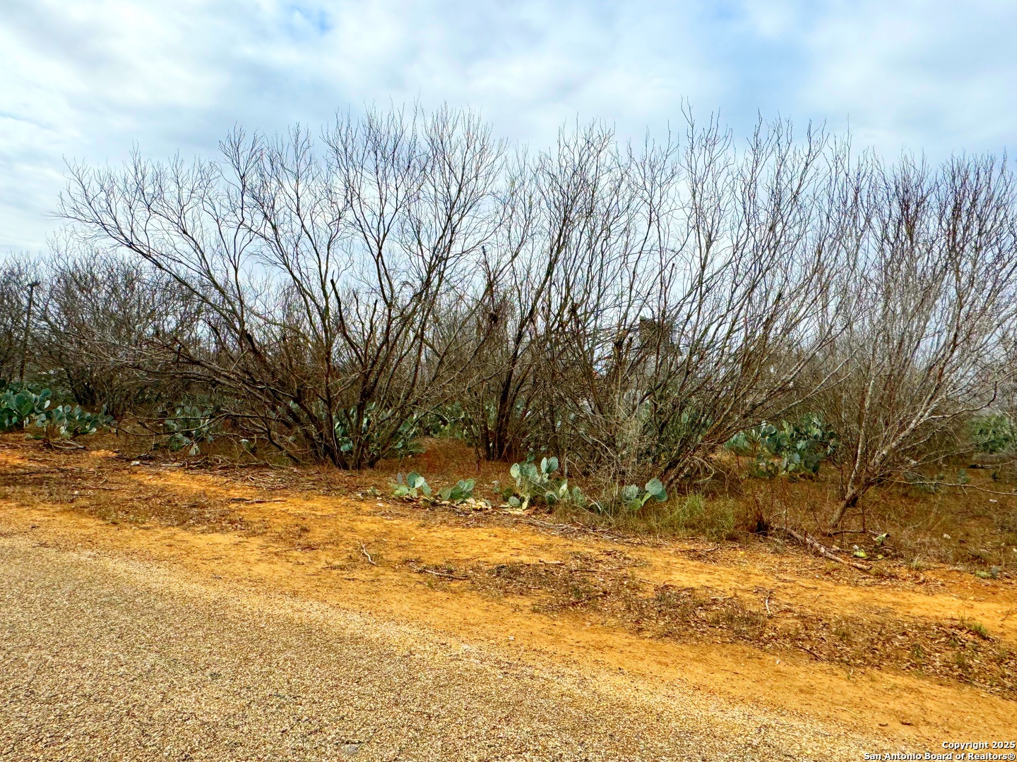 Tbd Old Highway 81 Lot 4 Moore TX 78057