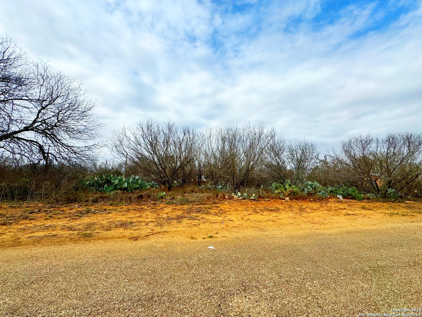Tbd Old Highway 81 Lot 4 Moore TX 78057