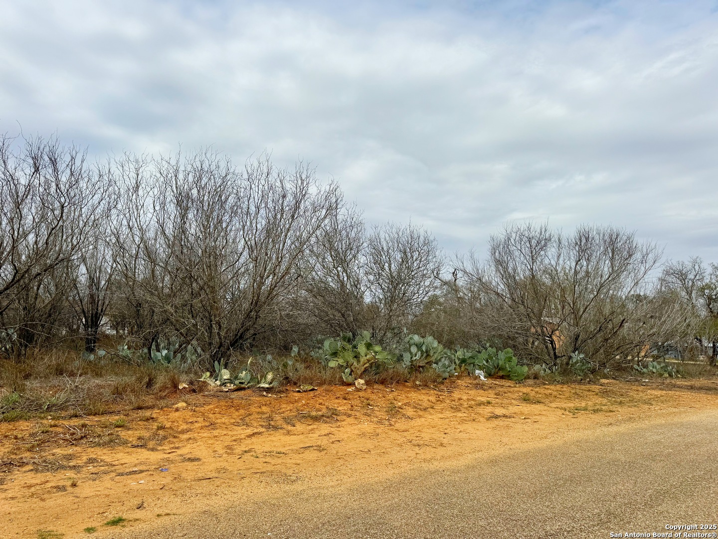 Tbd Old Highway 81 Lot 4 Moore TX 78057