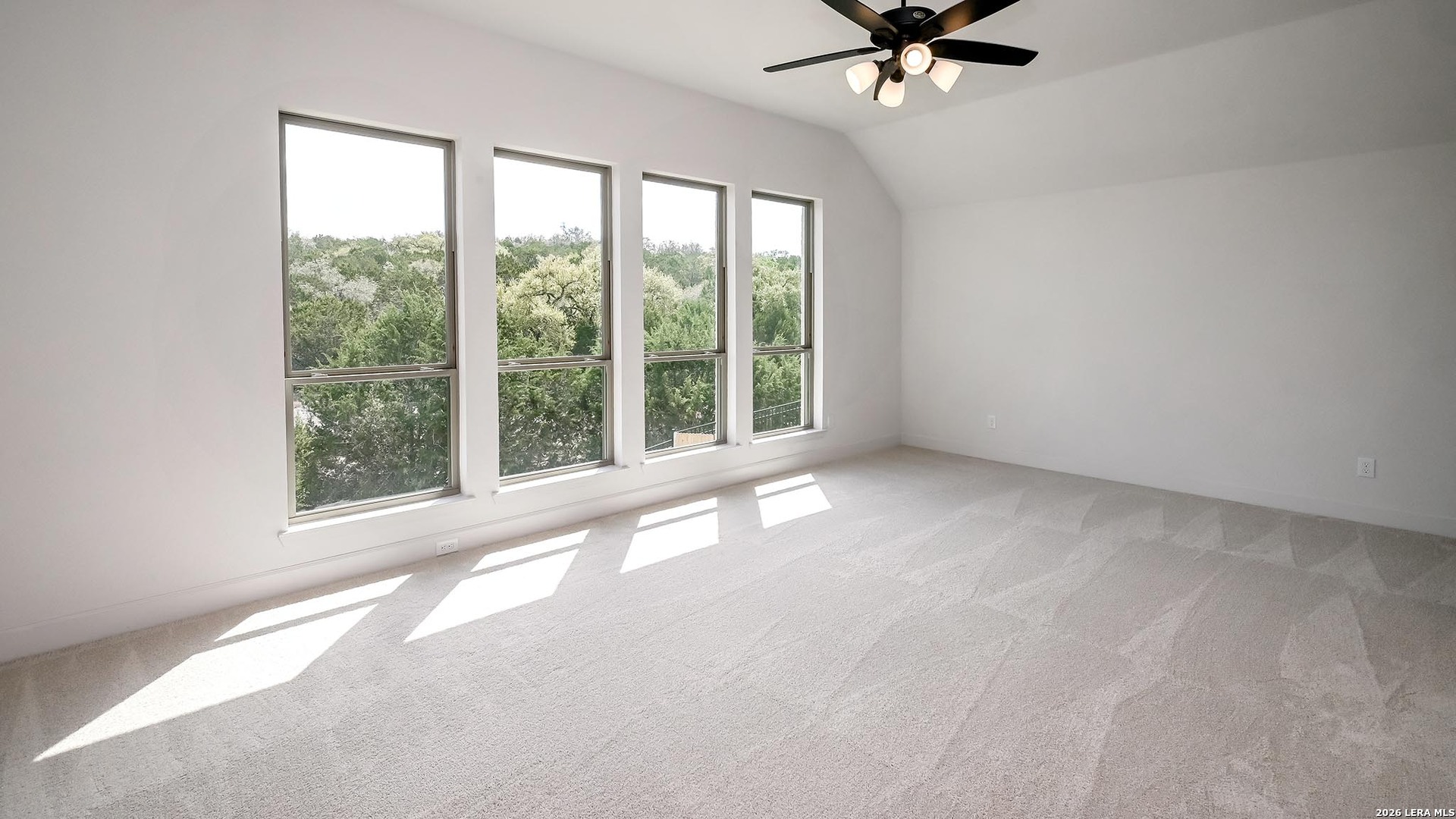 3629 Agarita Pass Bulverde TX 78163