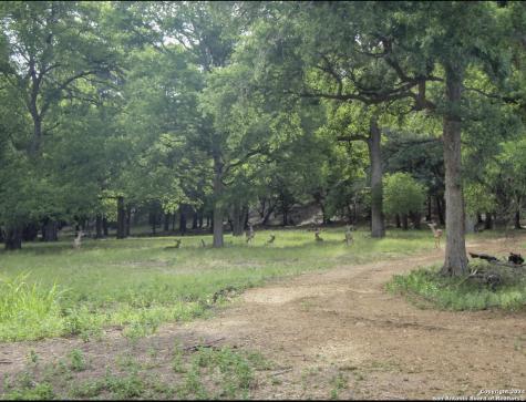 714 Caballo Trail Canyon Lake TX 78133