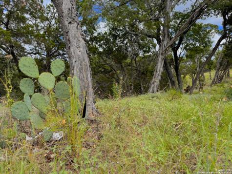 714 Caballo Trail Canyon Lake TX 78133
