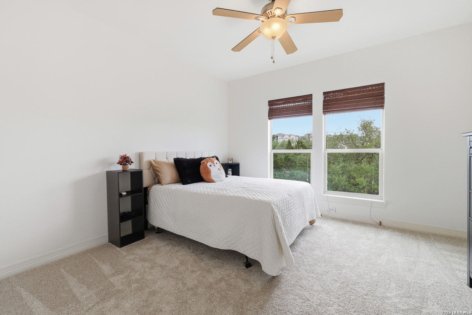 1938 Alpine Mist San Antonio TX 78258