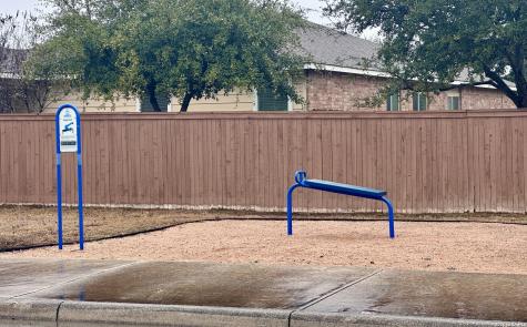 244 Cactus Patch Selma TX 78154