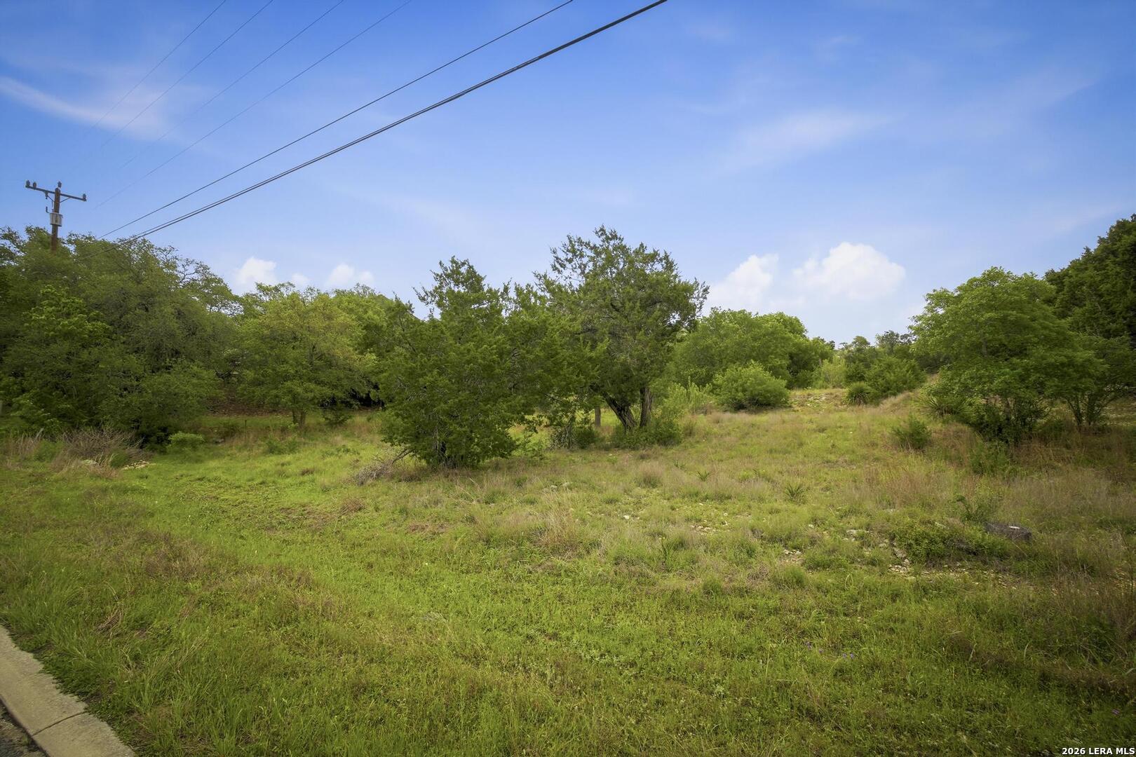 31368 Wildcat Drive Bulverde TX 78163
