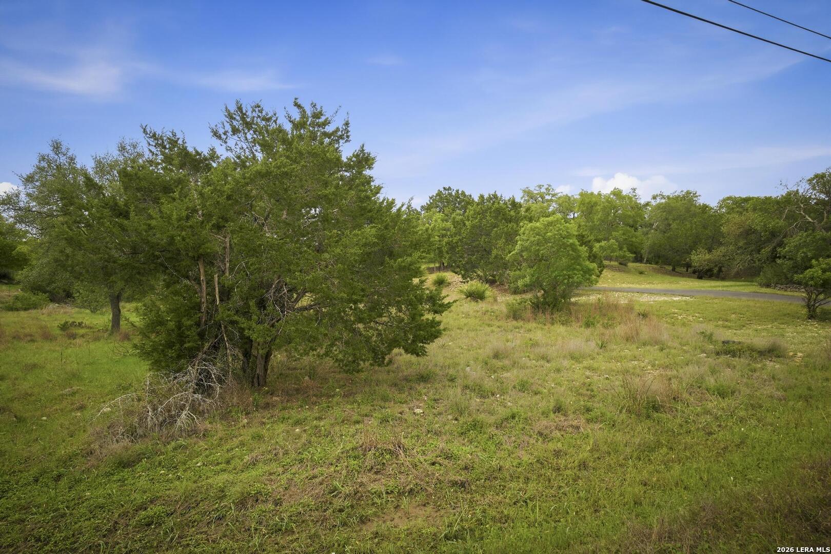 31368 Wildcat Drive Bulverde TX 78163