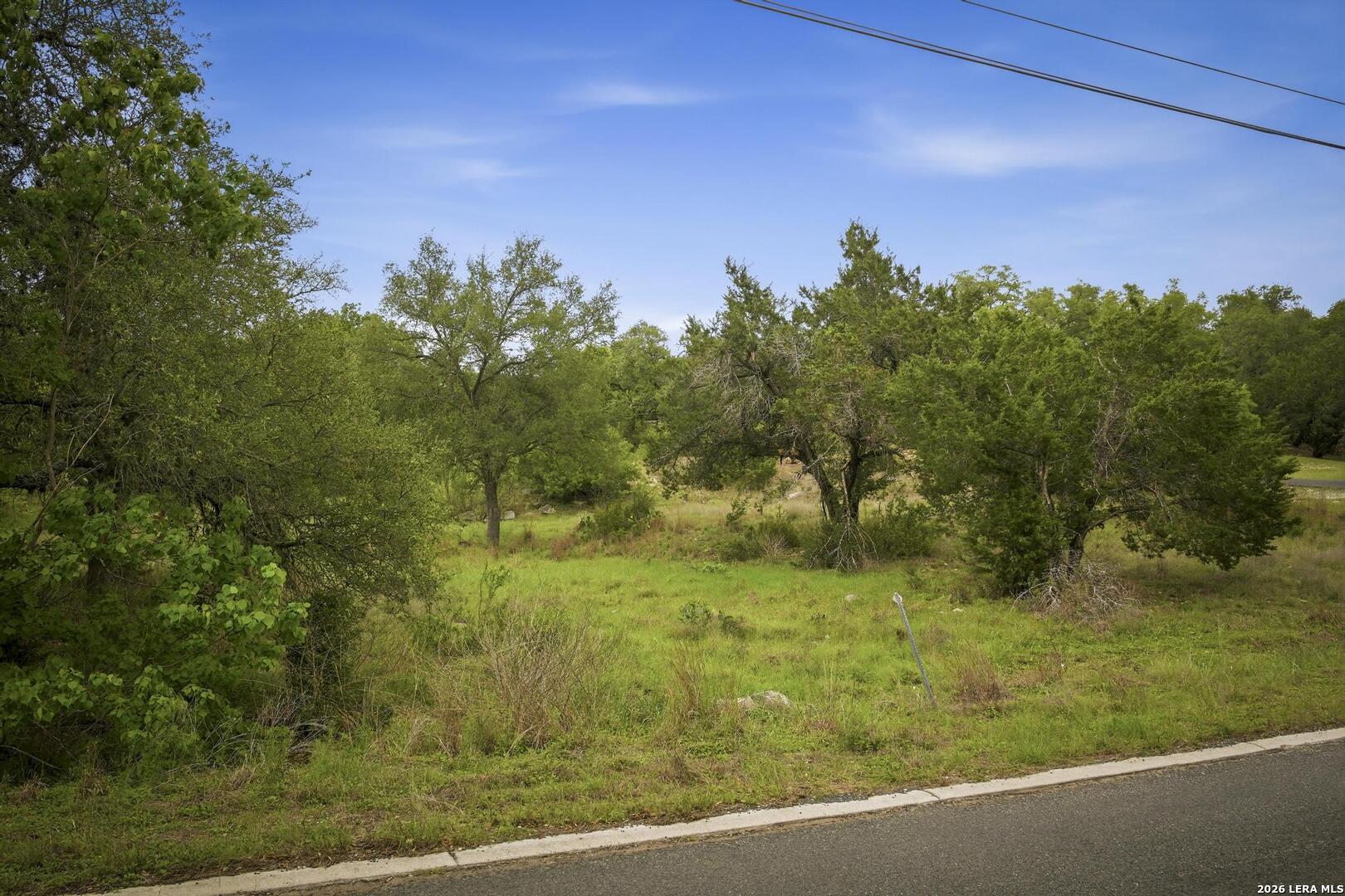 31368 Wildcat Drive Bulverde TX 78163