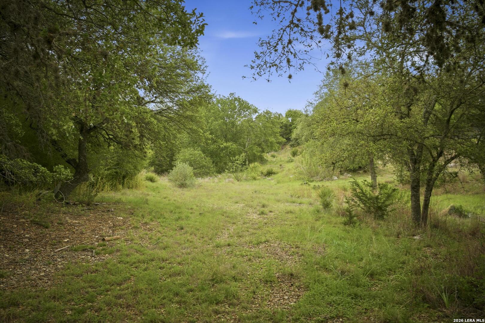 31368 Wildcat Drive Bulverde TX 78163