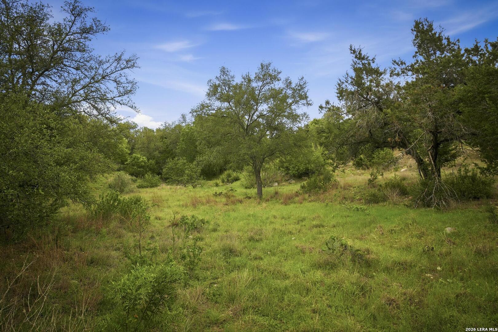 31368 Wildcat Drive Bulverde TX 78163
