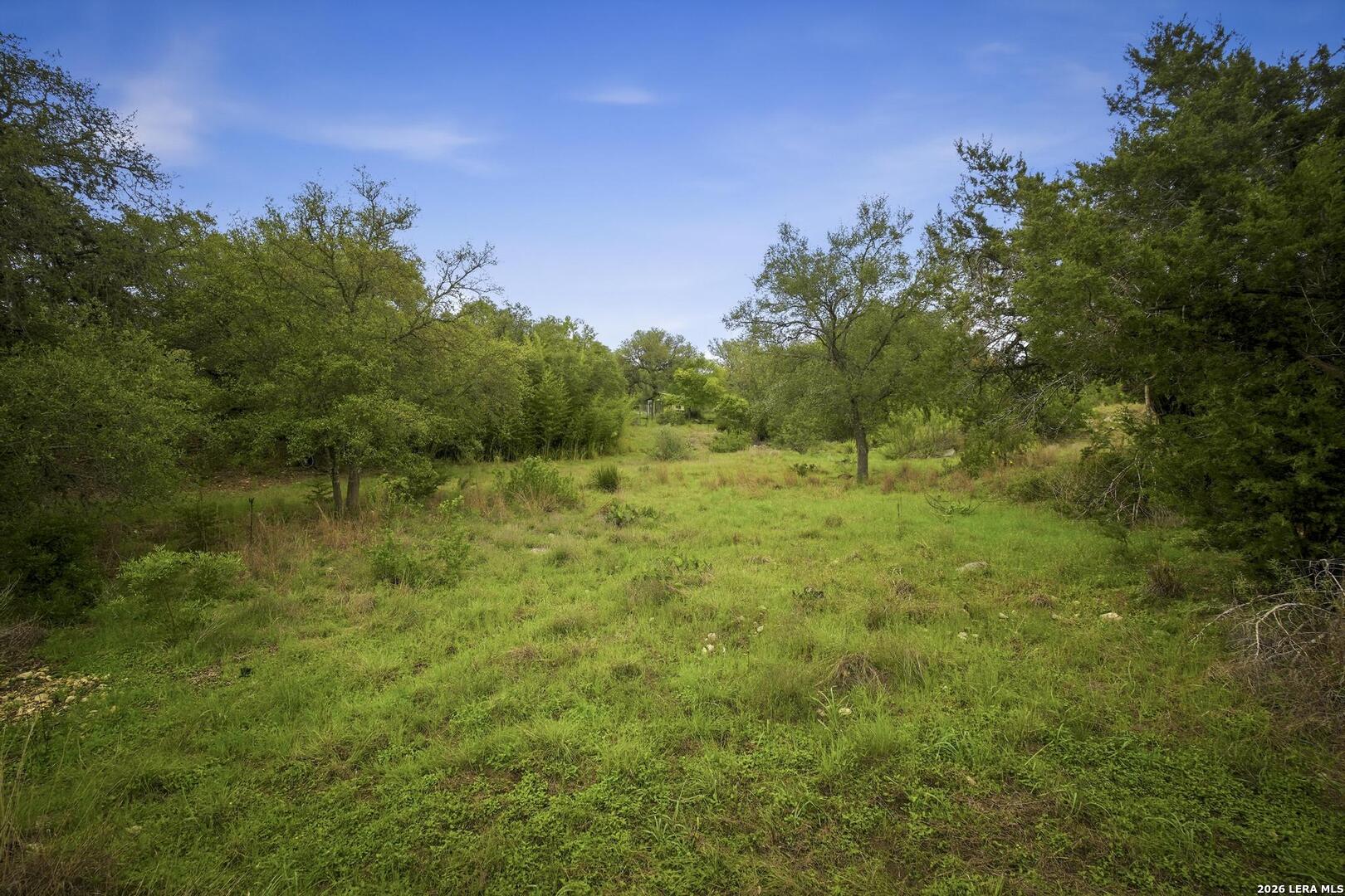 31368 Wildcat Drive Bulverde TX 78163