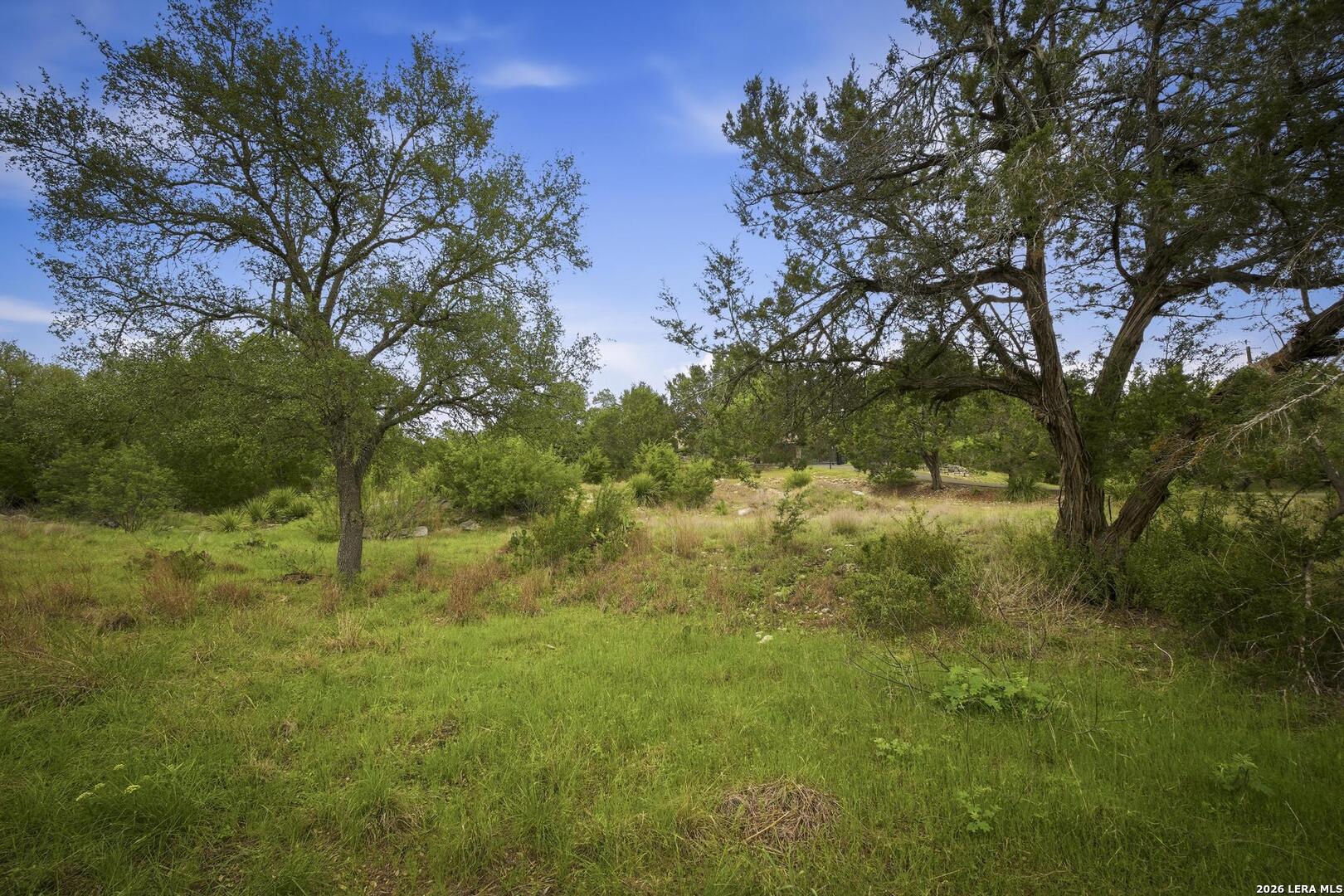 31368 Wildcat Drive Bulverde TX 78163