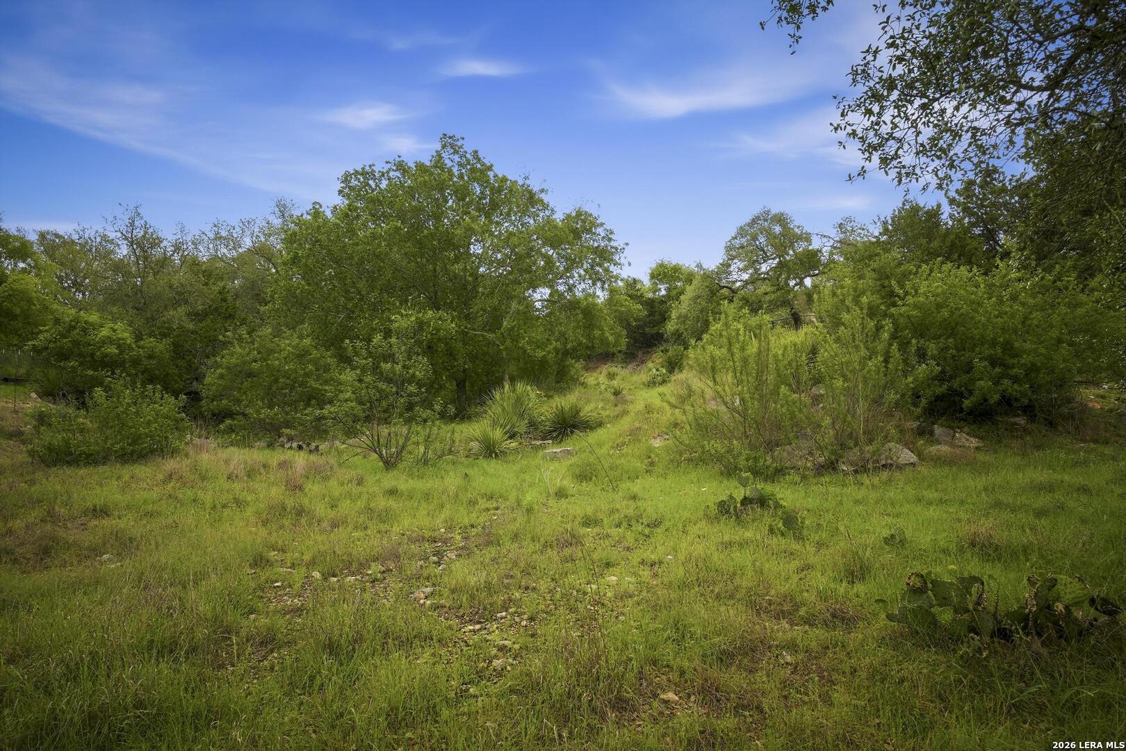 31368 Wildcat Drive Bulverde TX 78163