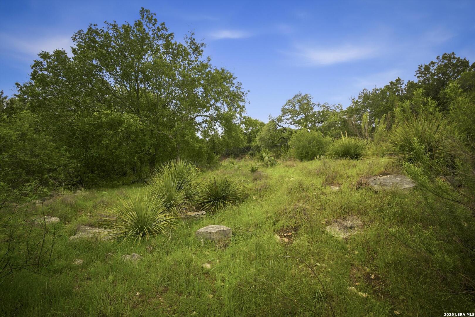 31368 Wildcat Drive Bulverde TX 78163