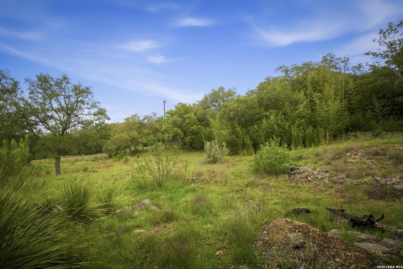 31368 Wildcat Drive Bulverde TX 78163