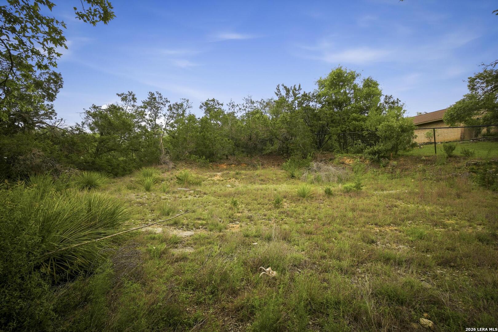 31368 Wildcat Drive Bulverde TX 78163