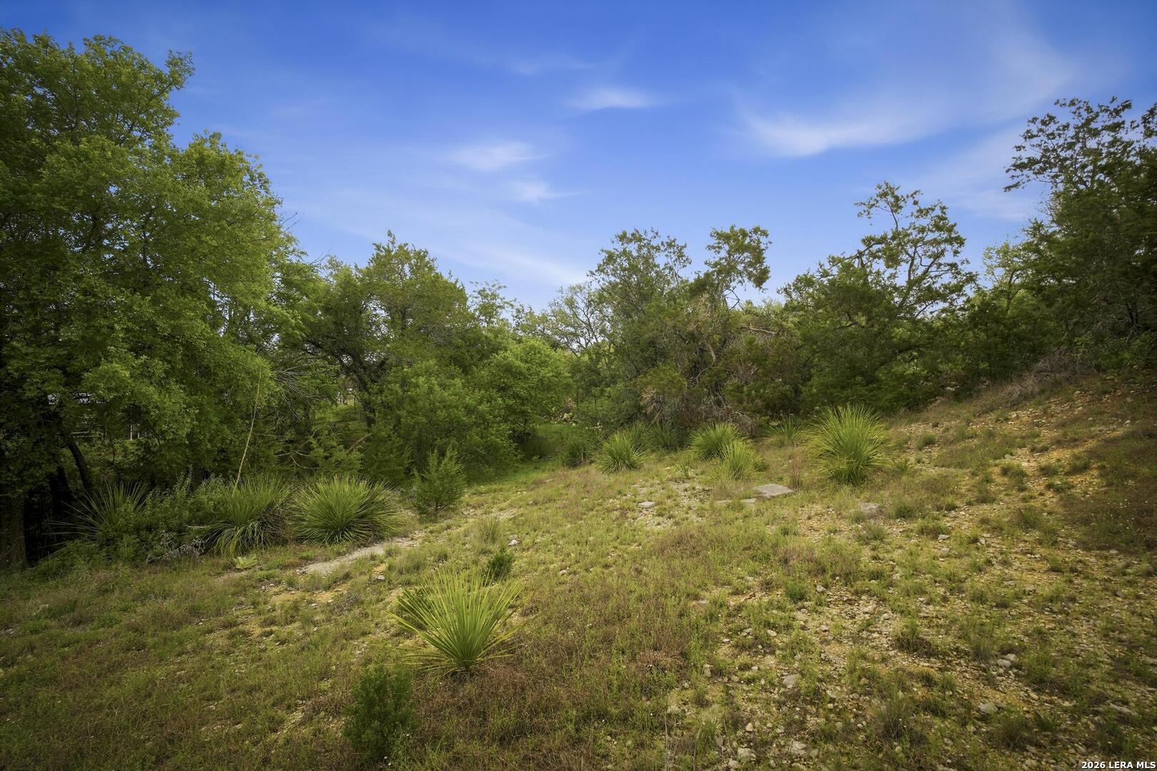 31368 Wildcat Drive Bulverde TX 78163
