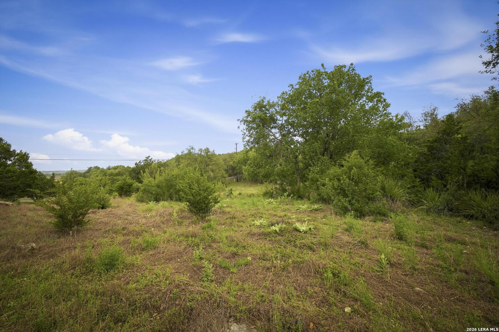 31368 Wildcat Drive Bulverde TX 78163