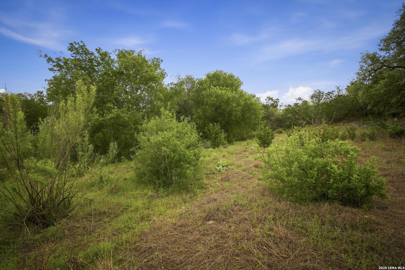 31368 Wildcat Drive Bulverde TX 78163