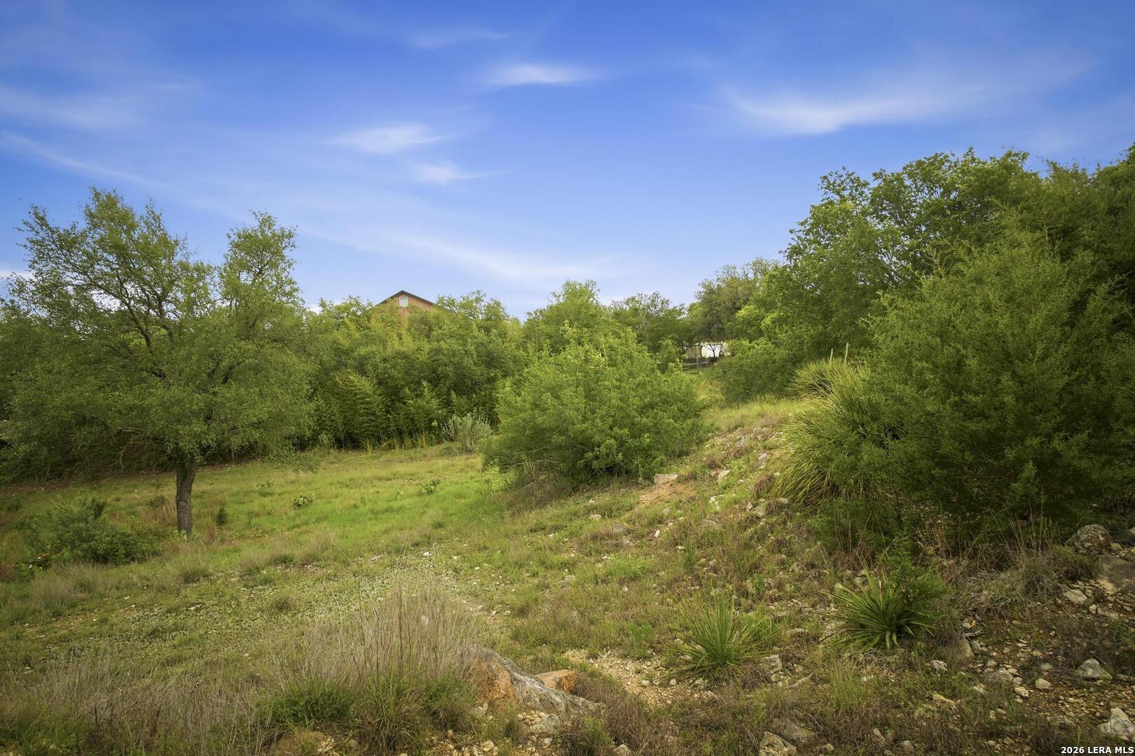 31368 Wildcat Drive Bulverde TX 78163