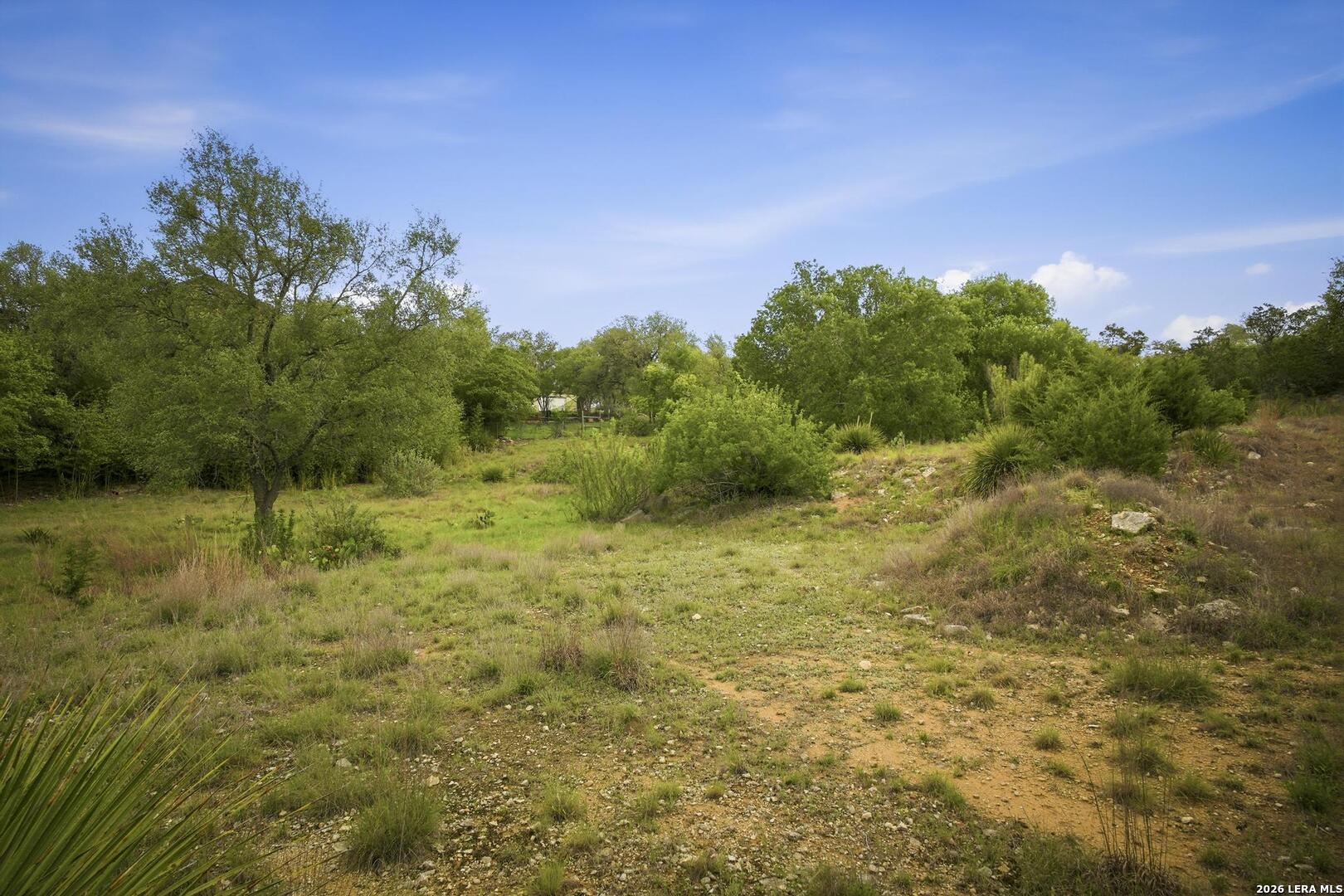 31368 Wildcat Drive Bulverde TX 78163